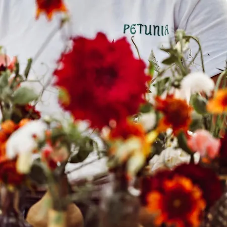 Petunia Ibiza, A Beaumier Hotel (Adults Only)-3
